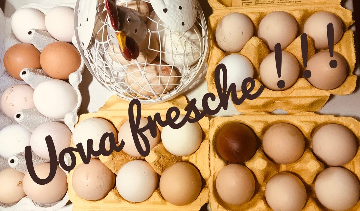 Il Pollaio di Cesare